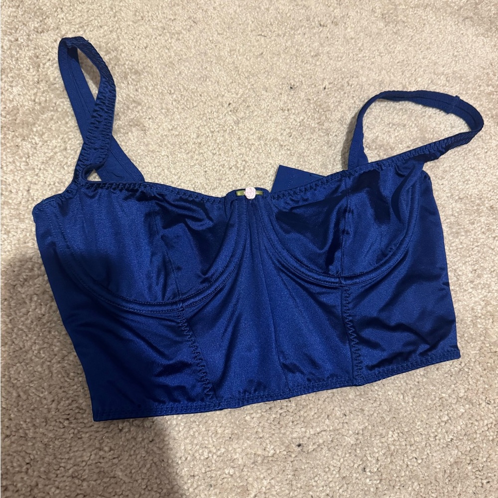 SKIMS Royal Blue Bustier